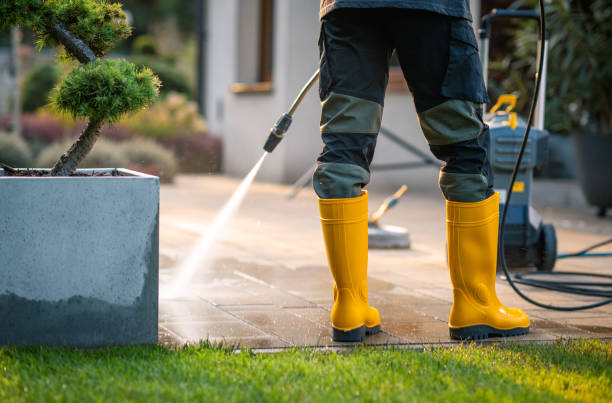 Best Pressure Washing Company Near Me  in Lyons, NJ